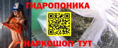 apvp Гатчина