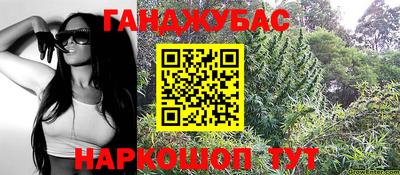 apvp Гатчина