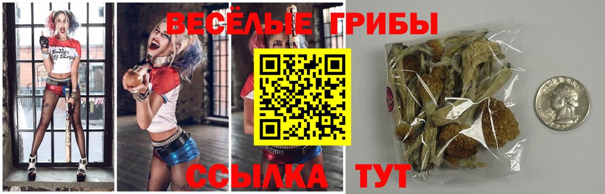 Галлюциногенные грибы мухоморы Набережные Челны